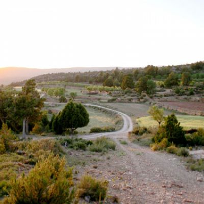 Camino de piedras a través de campo de Alpuente