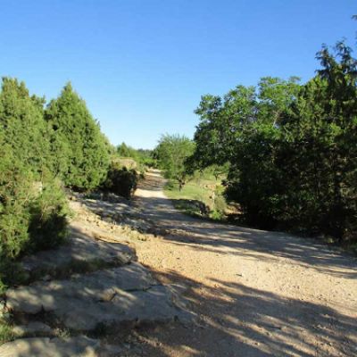 Vereda rural en Alpuente